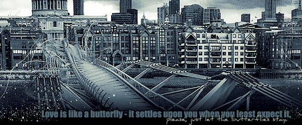 Just let the butterflies stay.